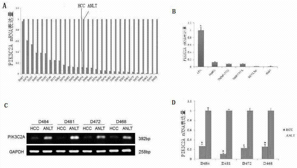 Application of pik3c2a protein in the treatment of liver cancer