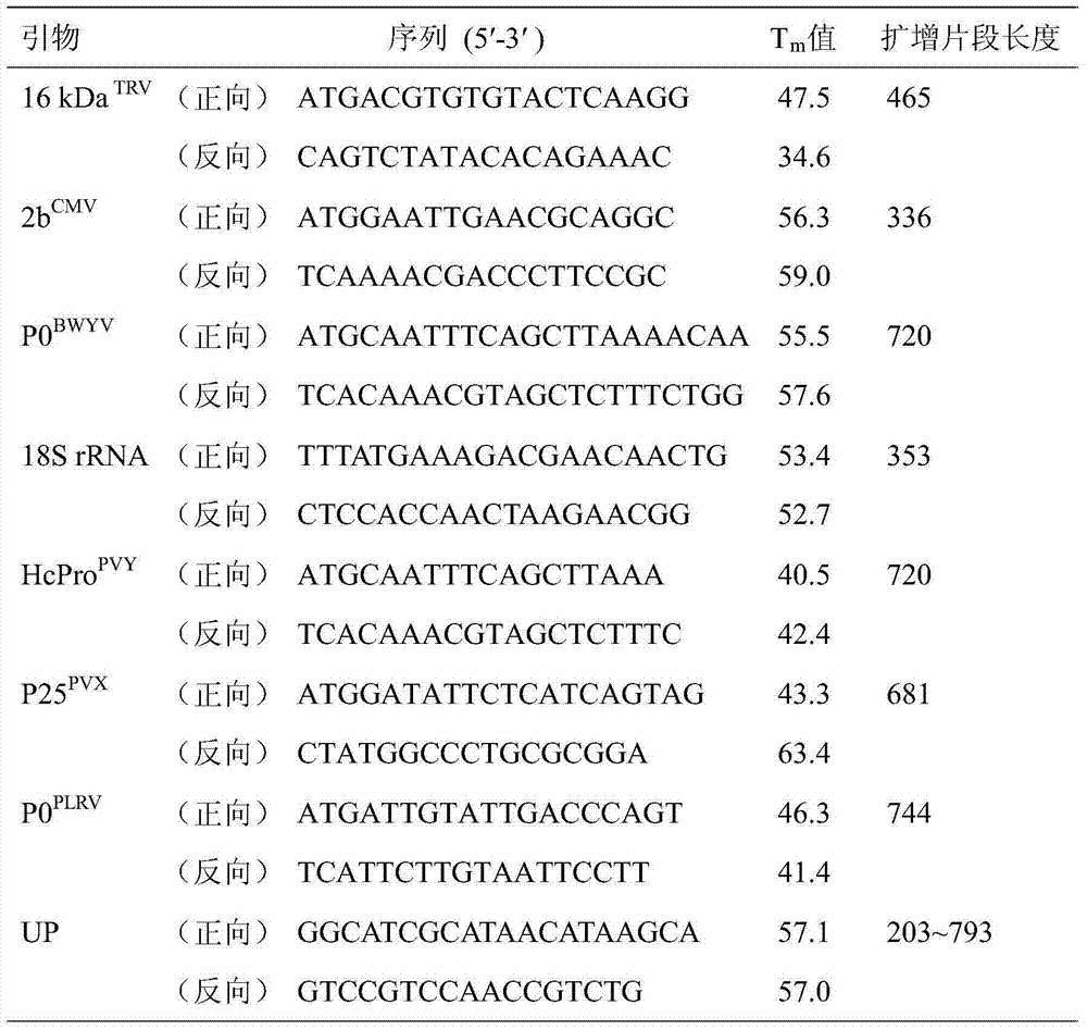 Method for detecting multiple trace targets based on long probe