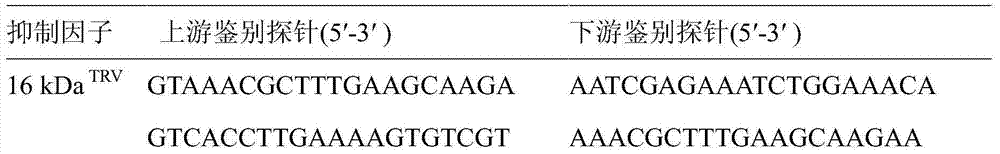 Method for detecting multiple trace targets based on long probe