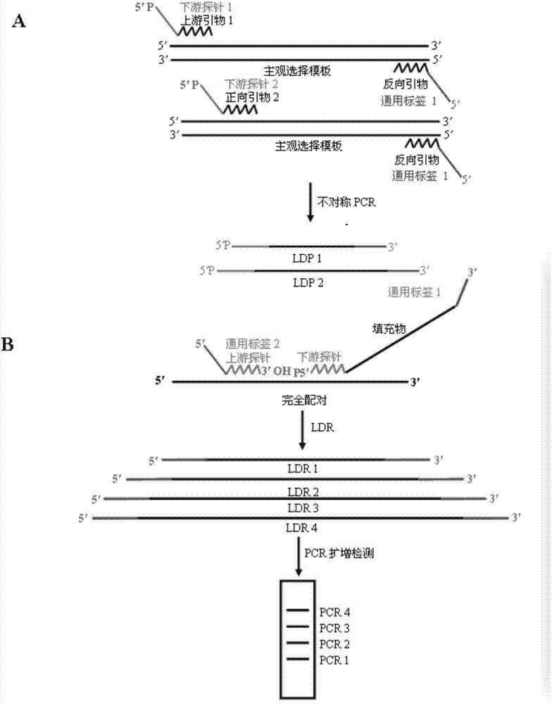 Method for detecting multiple trace targets based on long probe