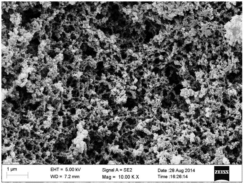 Preparation method and application of molecularly imprinted polymer for extracting dencichine