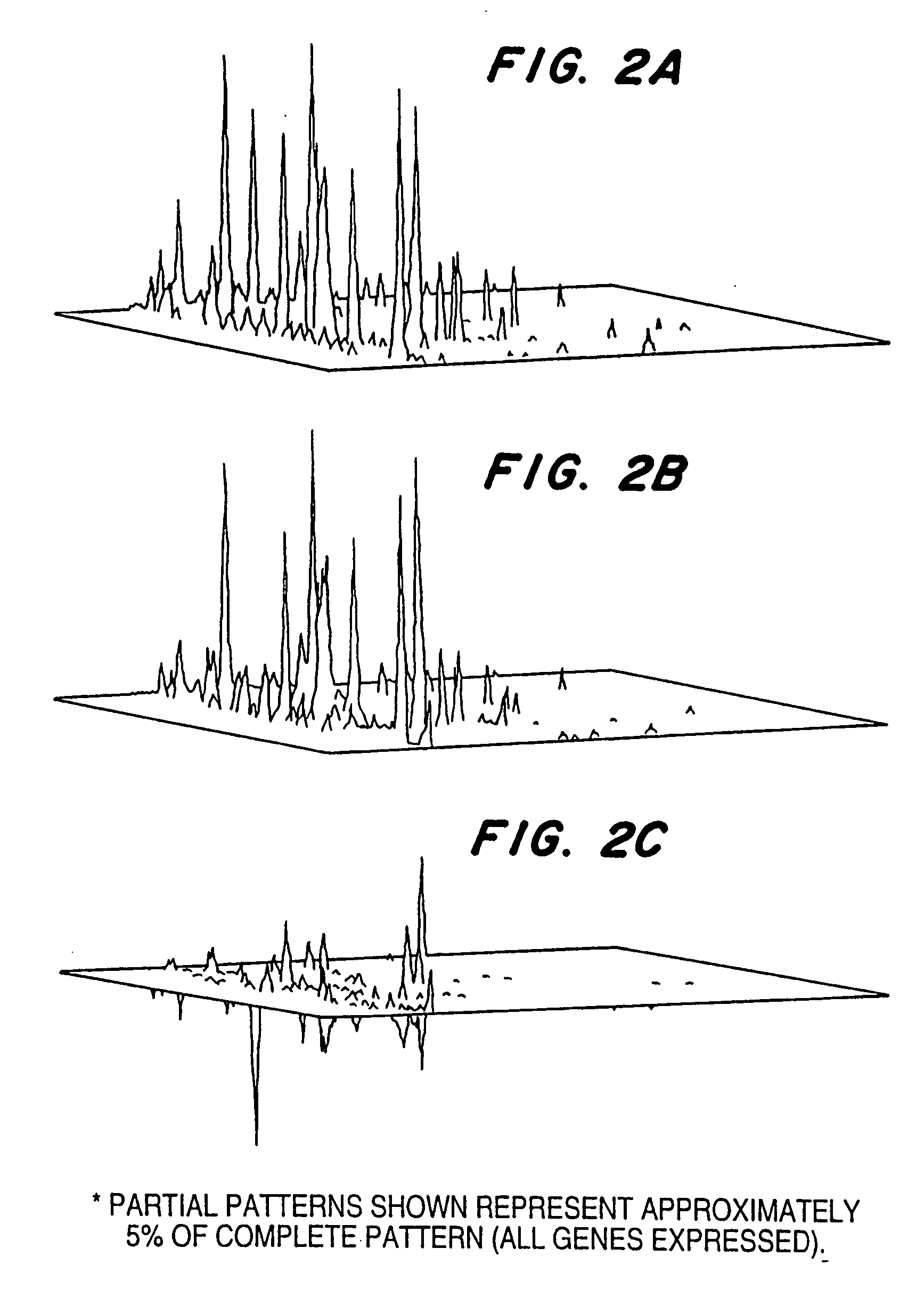 Process to study changes in gene expression in T lymphocytes