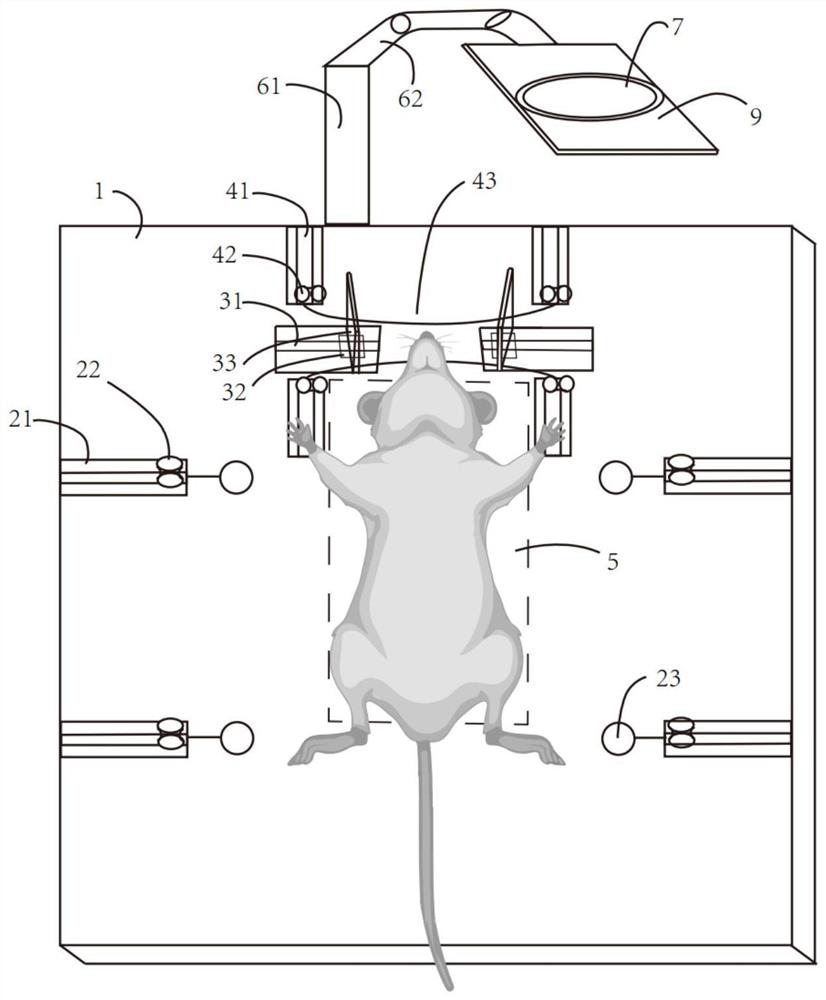 Integrated mouse stomatognathic surgery microscopic workbench