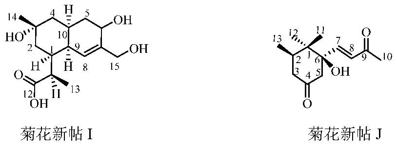 Method for preparing chrysanthemum new section I and chrysanthemum new section J from stems and leaves of Huai chrysanthemum and application of chrysanthemum new section I and chrysanthemum new section J