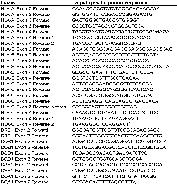 HLA (histocompatibility locus antigen) genetic typing method of HLA determinant gene through high-throughput sequencing