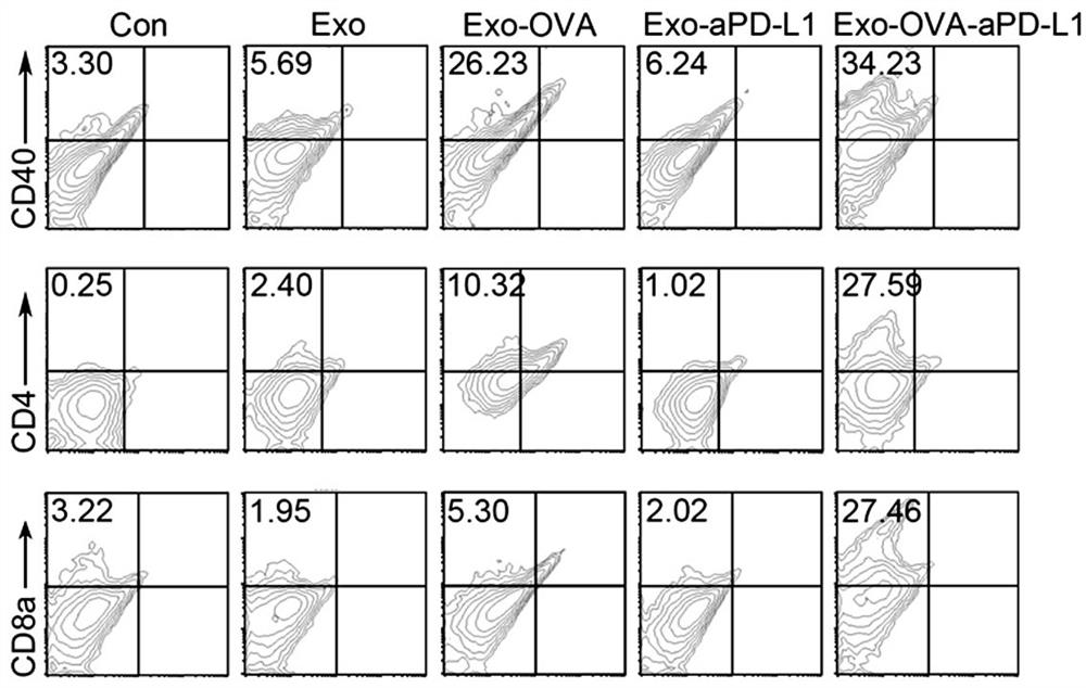 Tumor vaccine combining exosome with immune checkpoint blocker and preparation method thereof