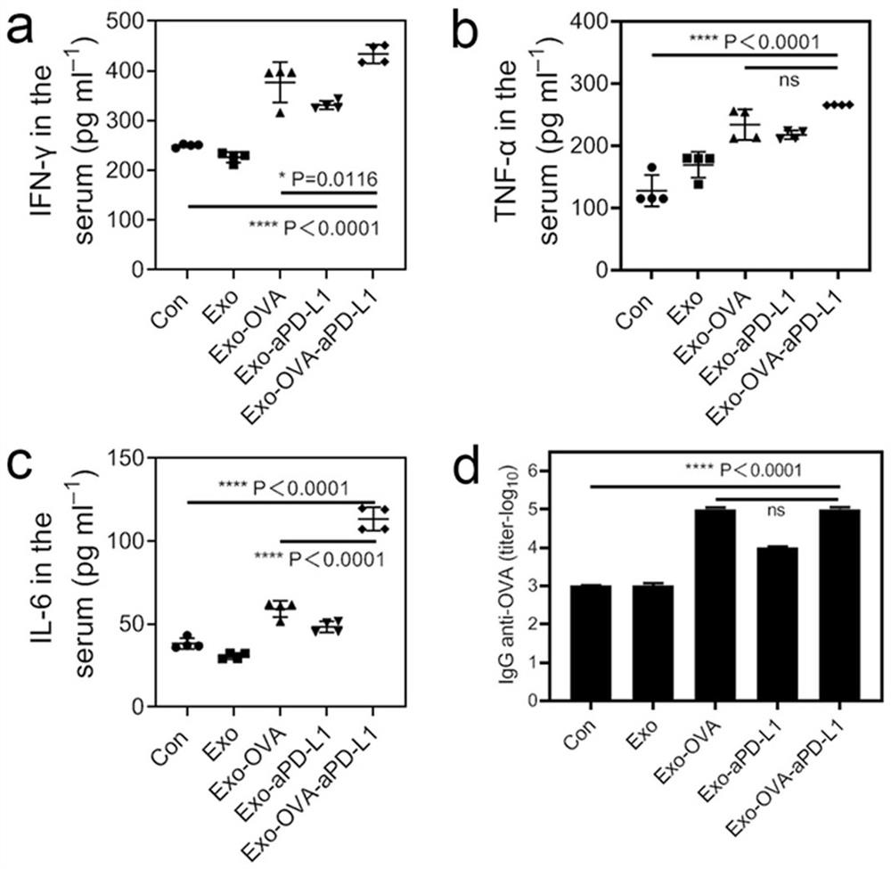 Tumor vaccine combining exosome with immune checkpoint blocker and preparation method thereof