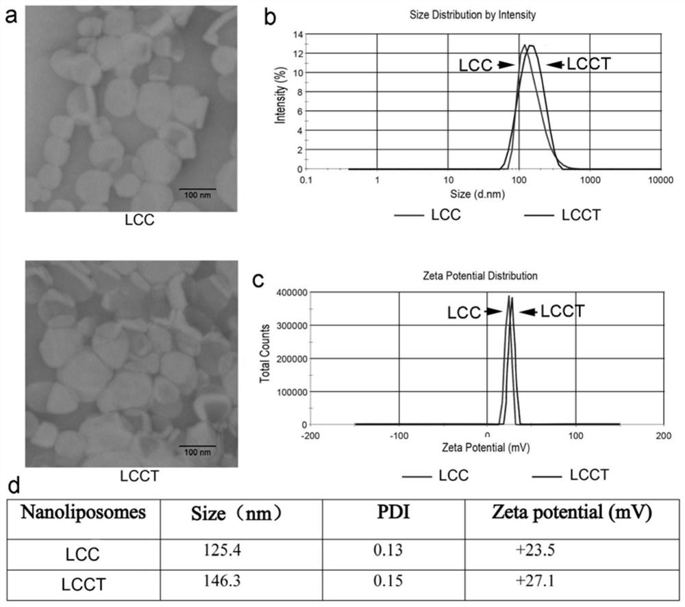 Mitochondrion-targeted gene editing complex, preparation method and application thereof and mitochondrion genome editing method