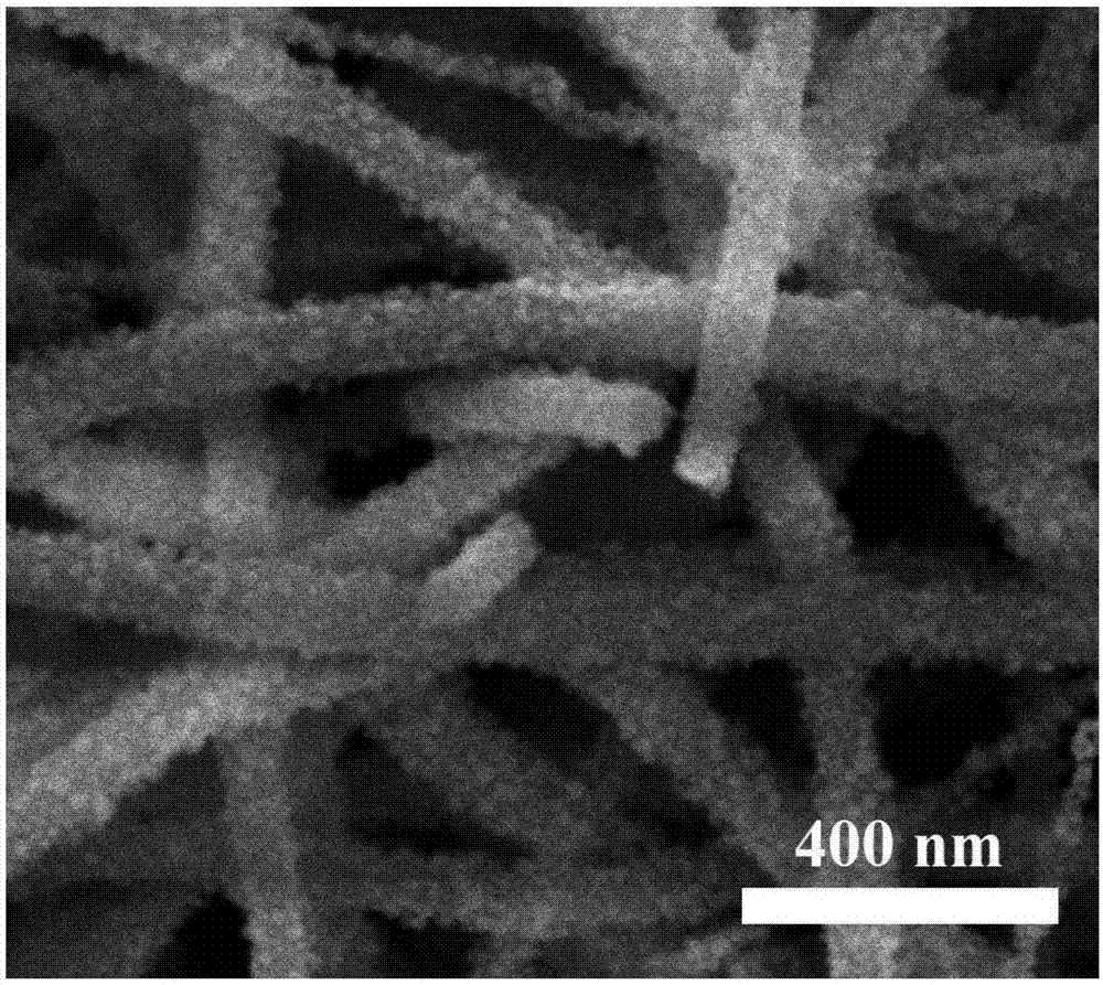 Preparation method of WO3/ZnWO4 composite micro-nano fiber and product of WO3/ZnWO4 composite micro-nano fiber