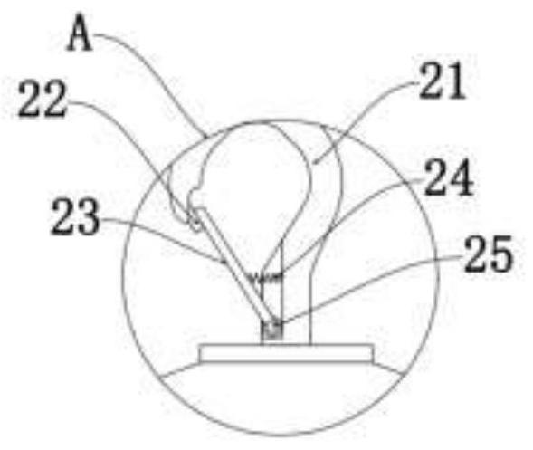 Insect prevention device for plum planting