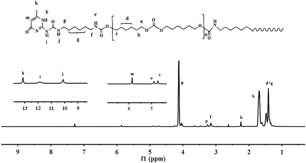 Preparing method of thermally-driven self-repairing elastomer based on hydrogen-bond interaction