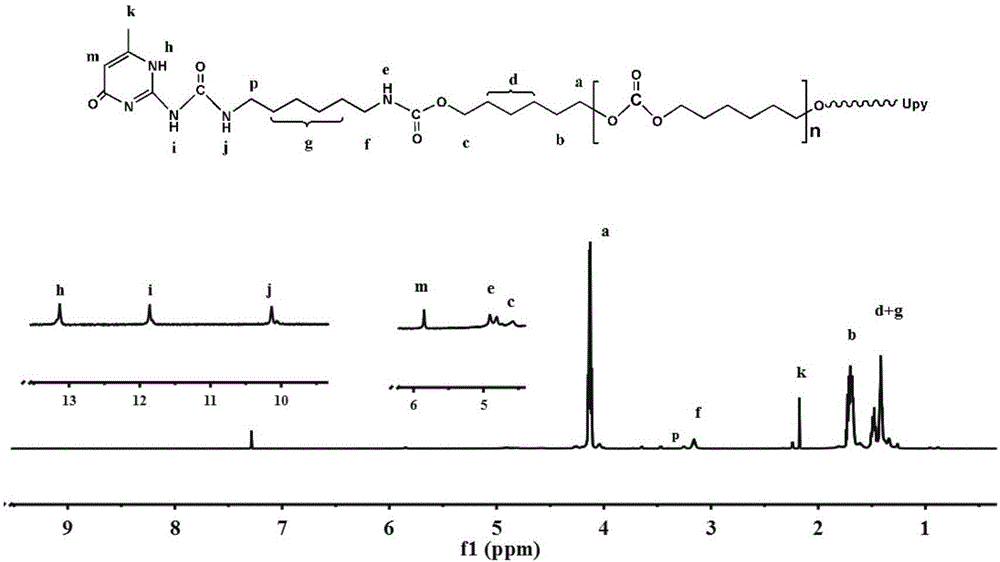 Preparing method of thermally-driven self-repairing elastomer based on hydrogen-bond interaction