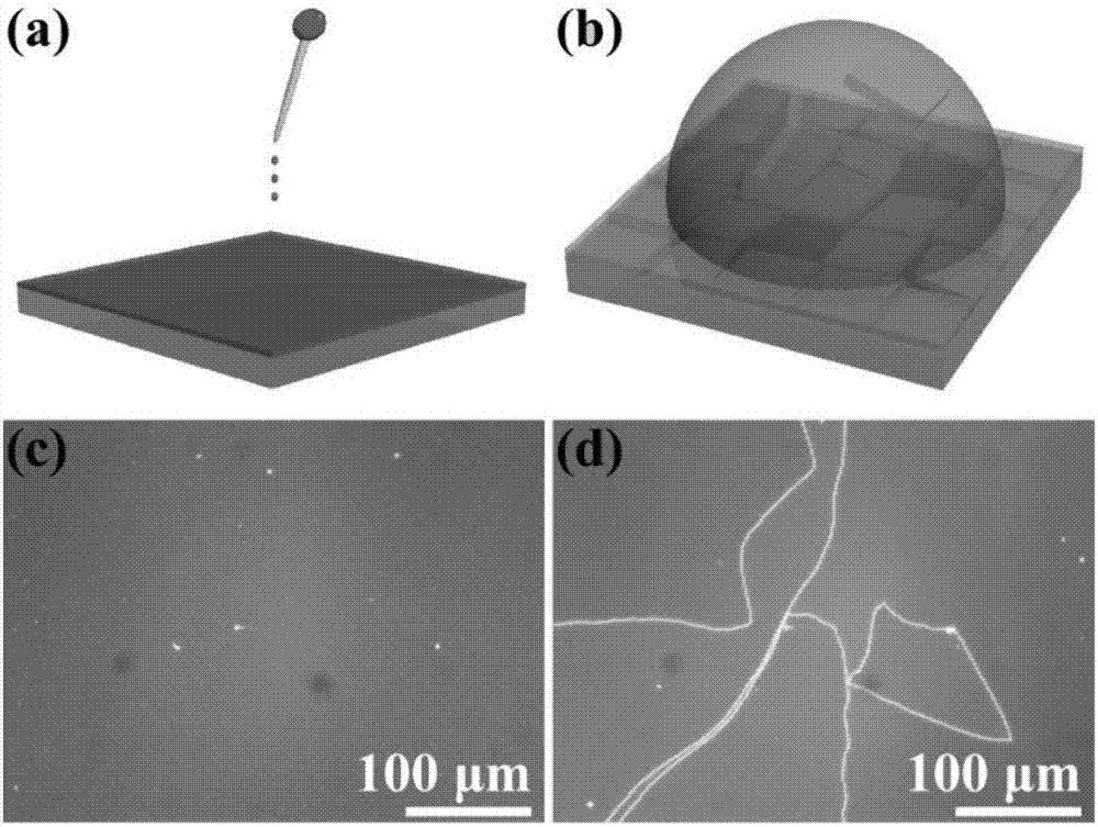 Preparation method of colloid quantum-dot microdisc by water drop method