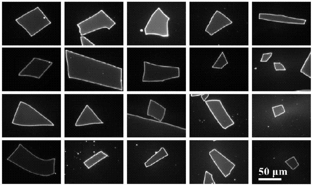 Preparation method of colloid quantum-dot microdisc by water drop method