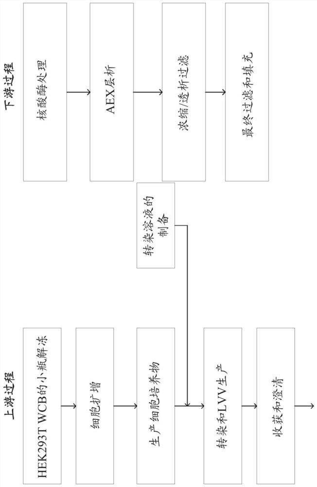 Methods and systems for manufacturing viral vectors