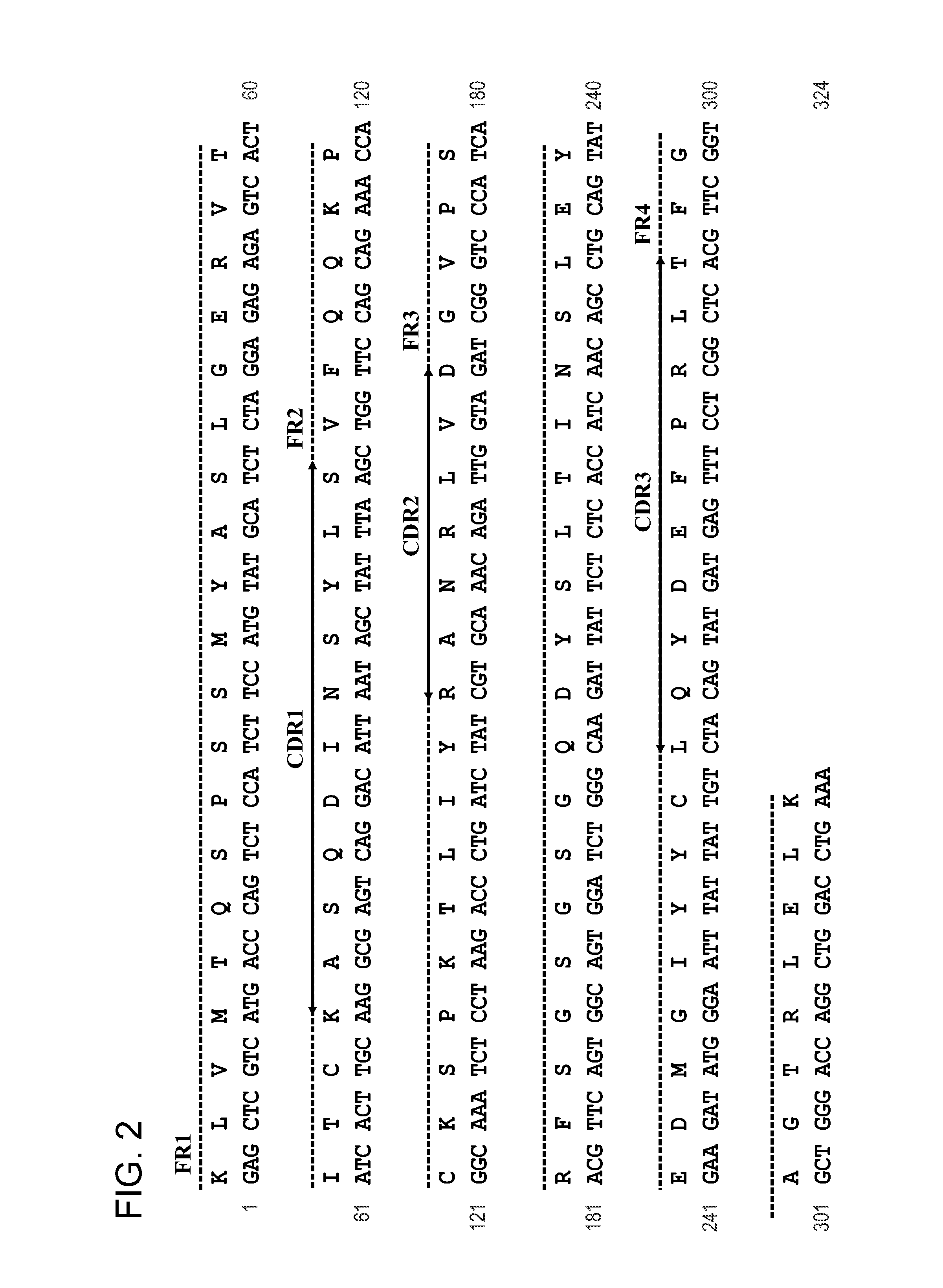 Compositions and methods for treating neoplasia