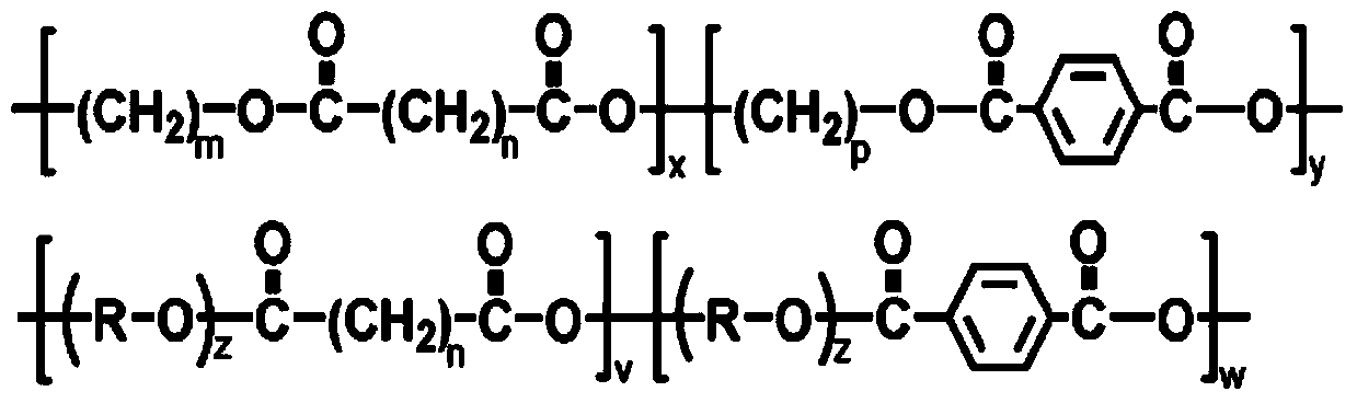 Eco-friendly poly(alkylene carbonate) resin composition for high-transparency and high-gloss sheet