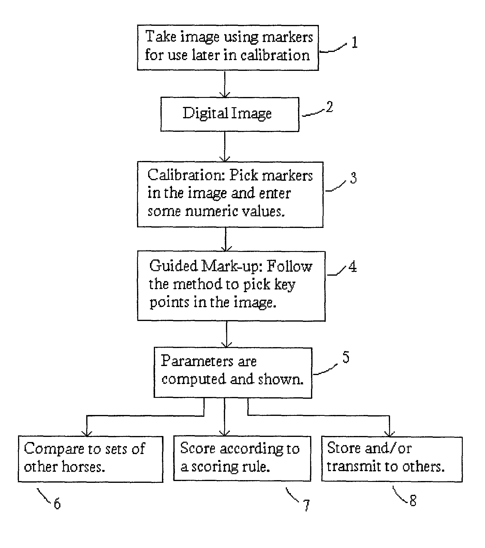 Method and system for analyzing animal digit conformation