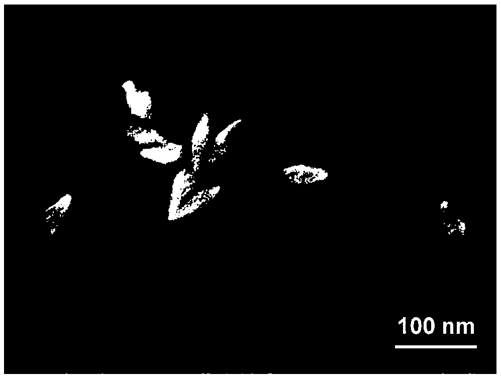 Application of gold nanometer bipyramids in OLED device