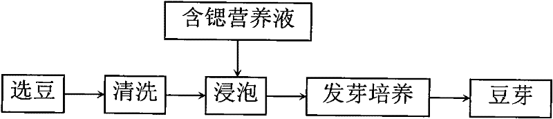 Quick production method of strontium-enriched bean sprouts