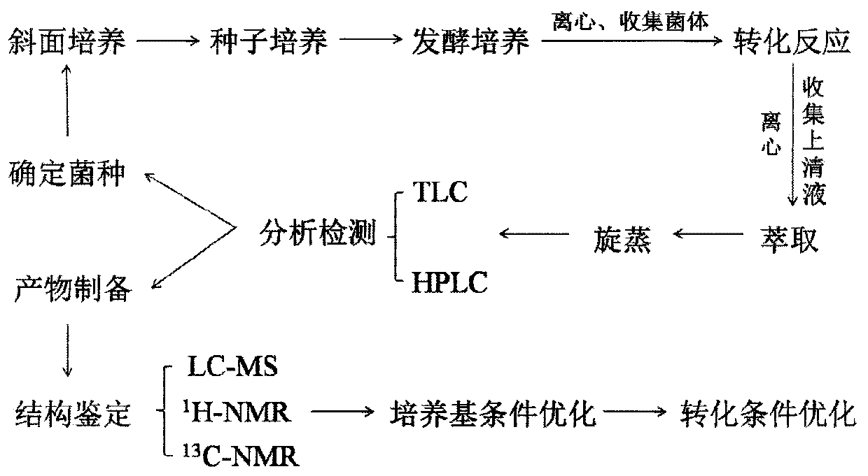 A kind of preparation method of curcumin derivative