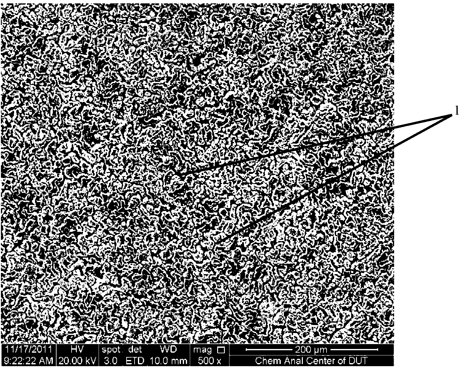 Titanium micro/nanometer double-structured dioxide thin film with high biological activity and preparation method thereof