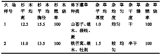 Method for building fire-prevention forest belt in Chinese fir man-made forest