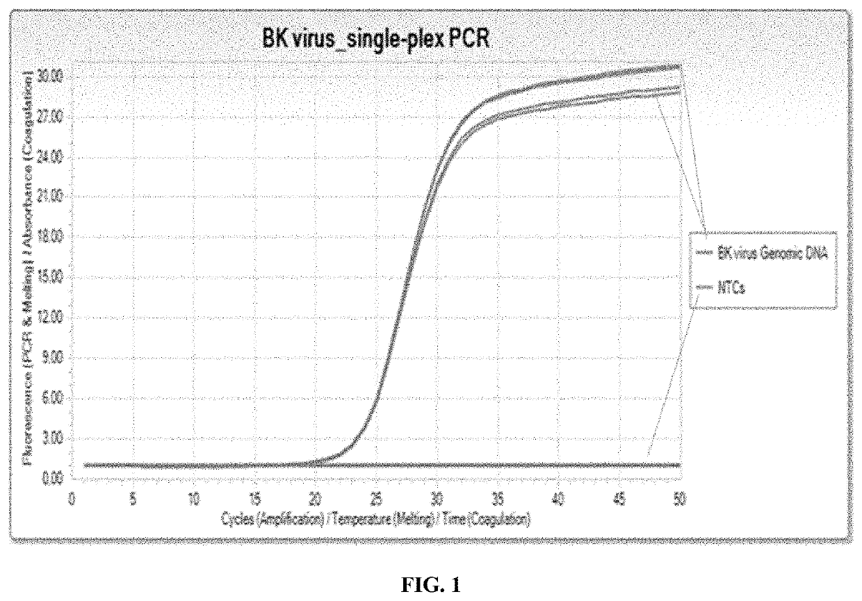 Compositions and methods for detection of BK virus