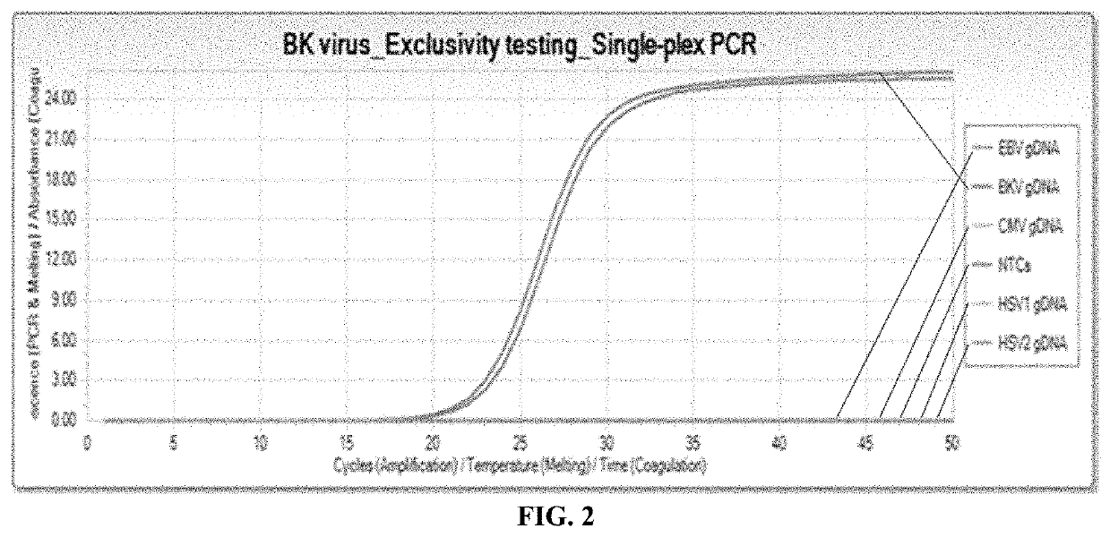 Compositions and methods for detection of BK virus