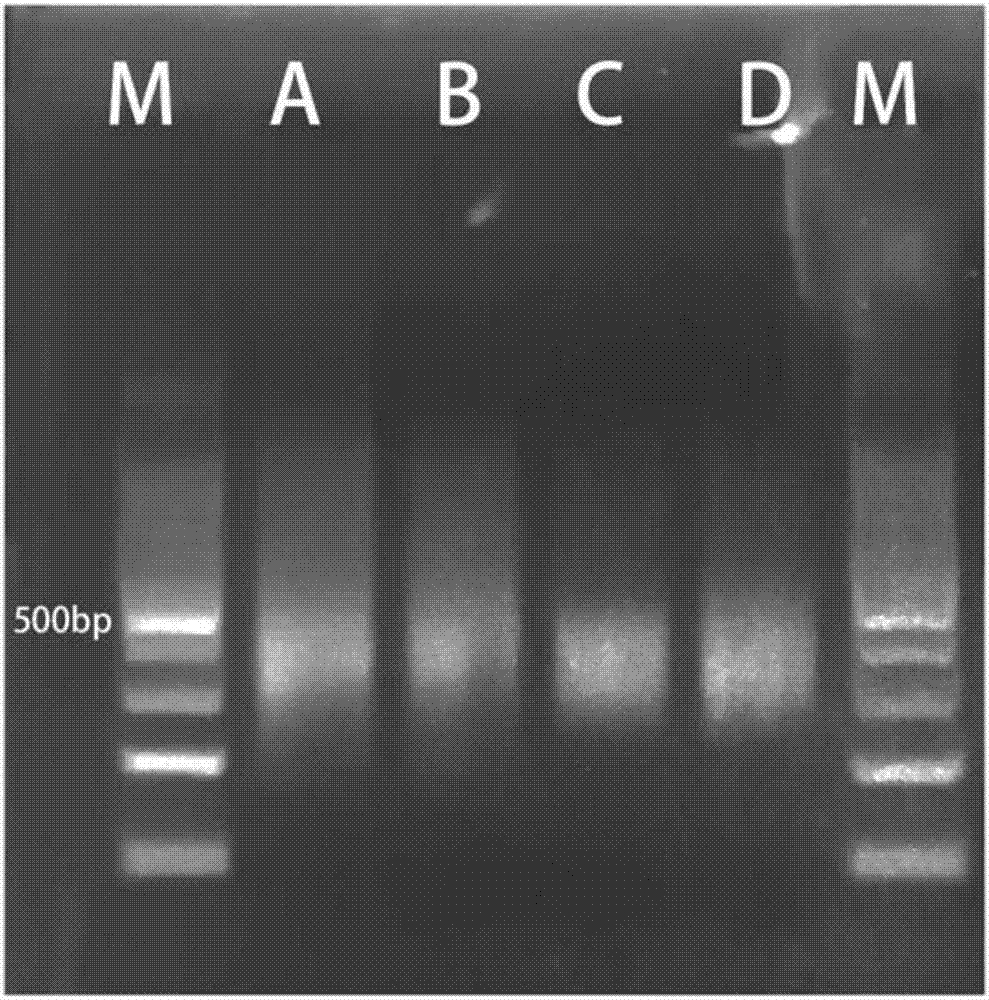 PCR-Sort-PCR library enriching method applicable to high-throughput sequencing