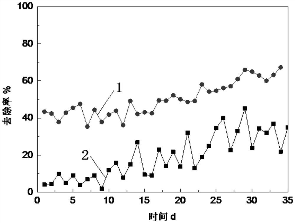 A gravity-driven hydrophilic membrane device and membrane cleaning method for algae-containing water treatment