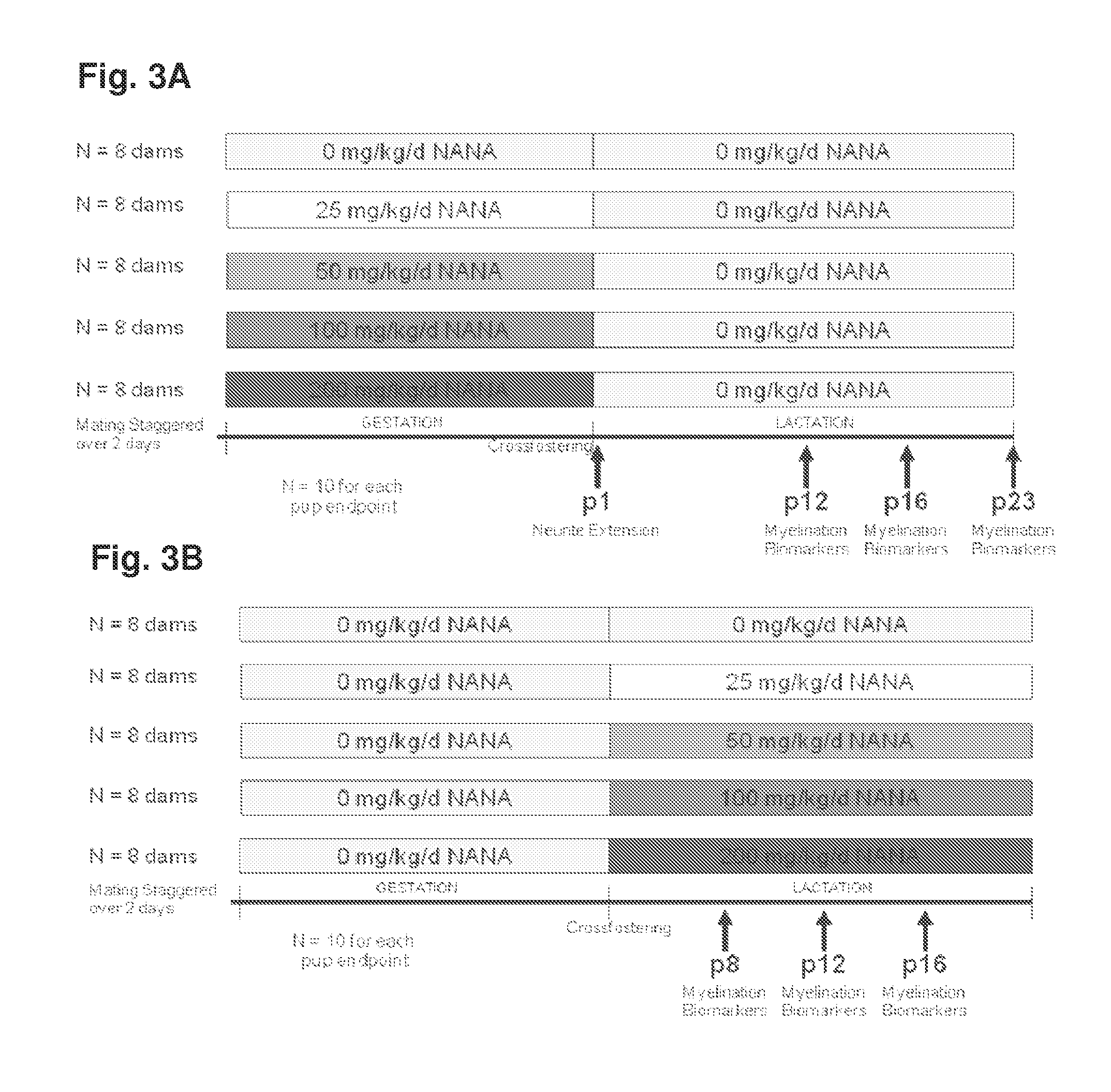 Maternal sialic acid supplementation