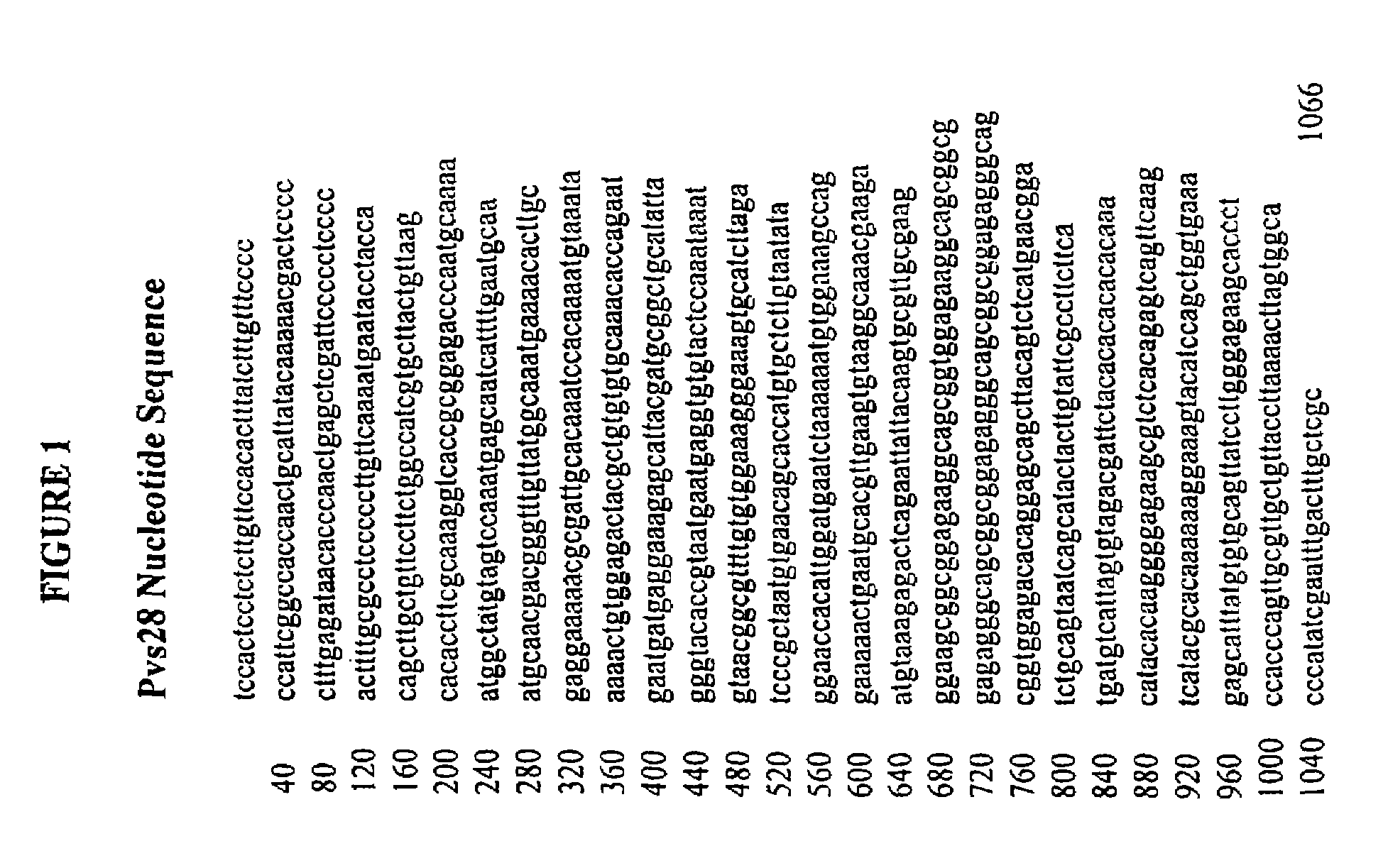 Vaccines for blocking transmission of plasmodium vivax