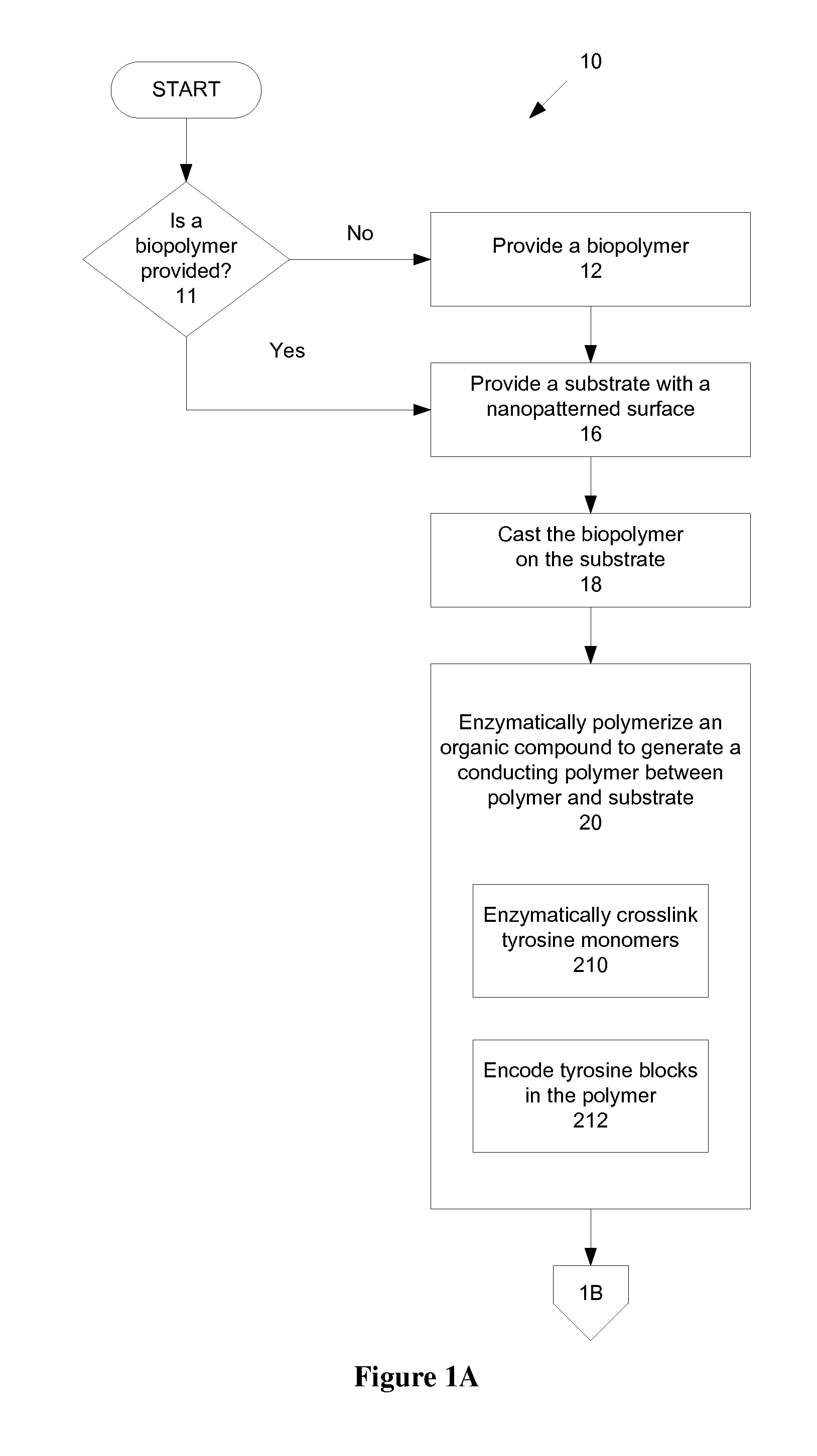 Electroactive biopolymer optical and electro-optical devices and method of manufacturing the same