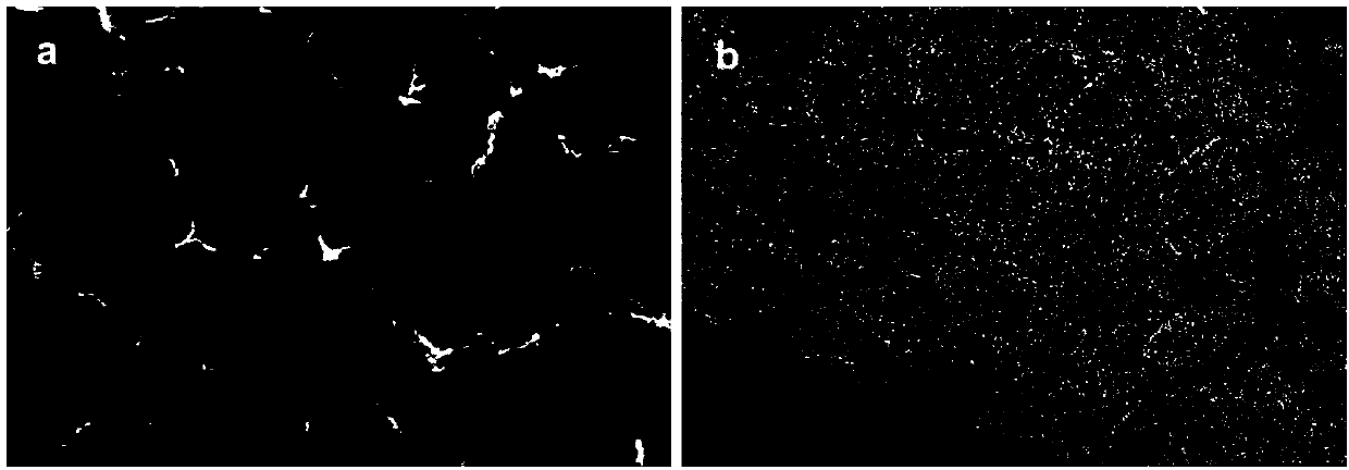 High-yield phosphorous-doped porous carbon material and preparation method thereof