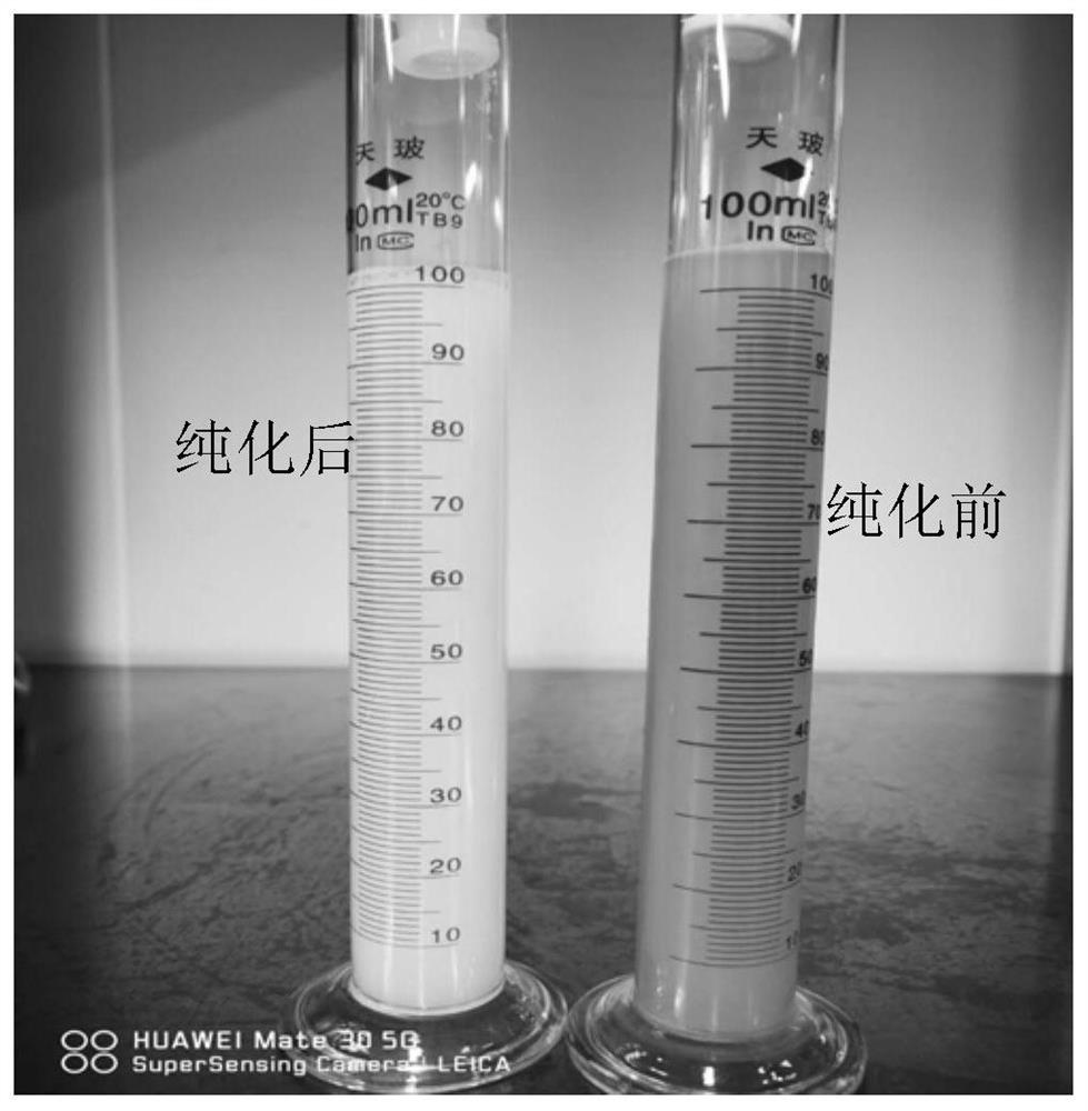 Bovine pasteurella multocida inactivated vaccine and preparation method thereof