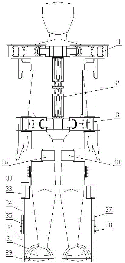 Human torso mechanical exoskeleton device used for connecting appendicular exoskeleton mechanisms