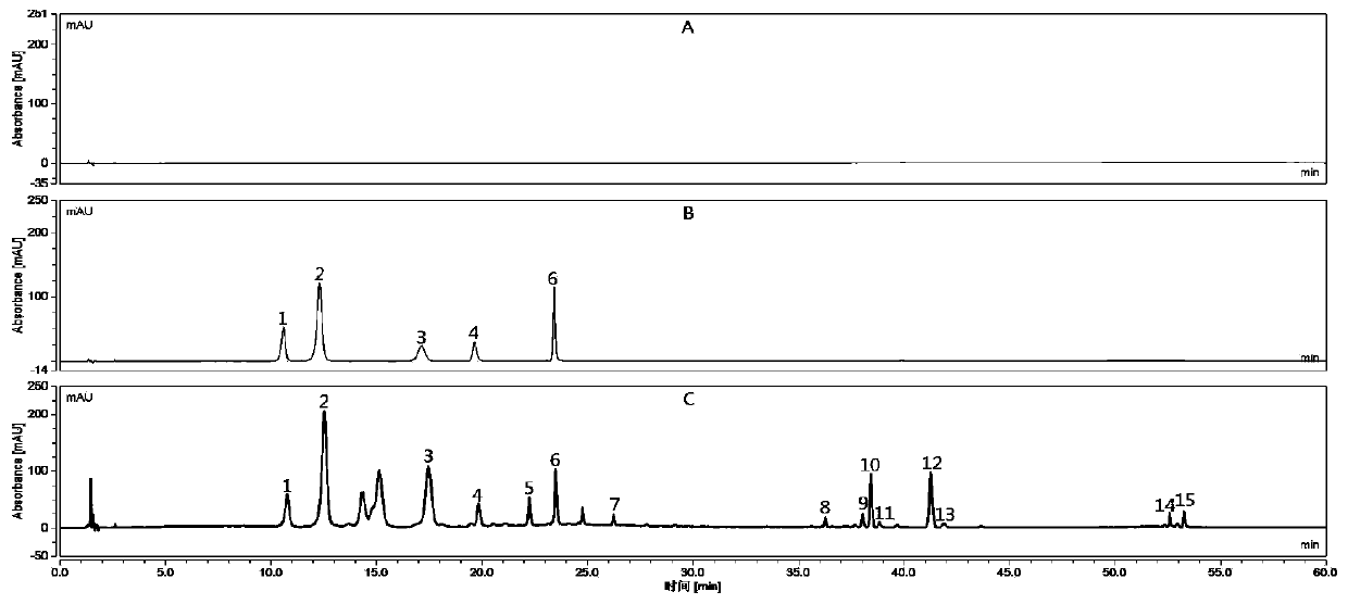 HPLC finger-print establishing method of small flower sabia japonica