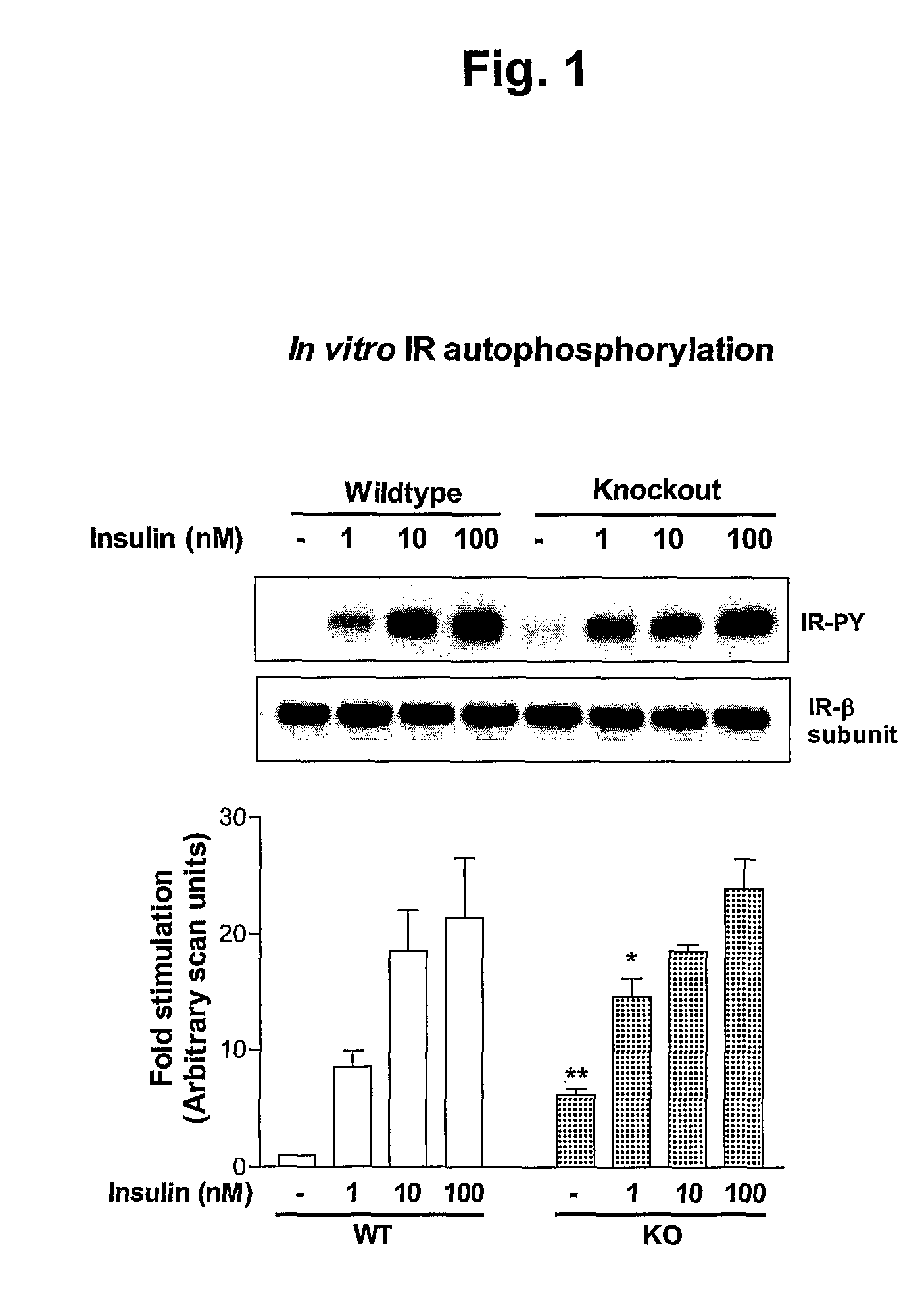 Inhibition of alpha-2 hs glycoprotein (AHSG/fetuin) in obesity and insulin control of glucose homeostasis