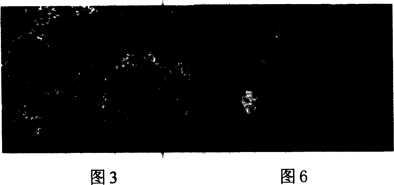 Prepn of red phosphor