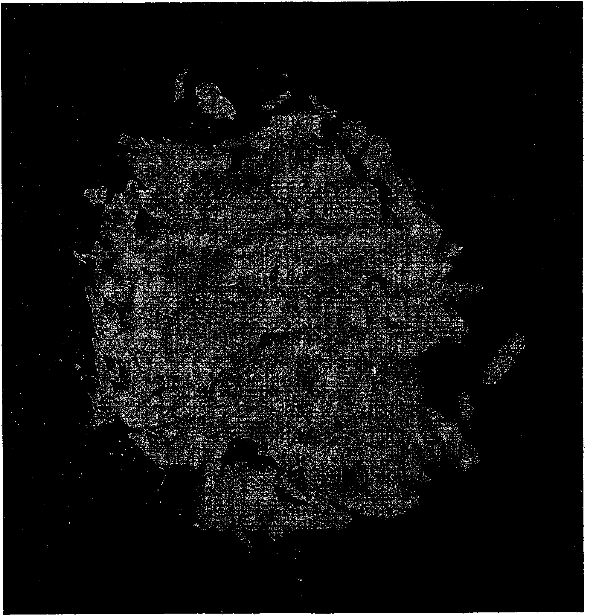 Process for production of omega-3 rich marine phospholipids from krill