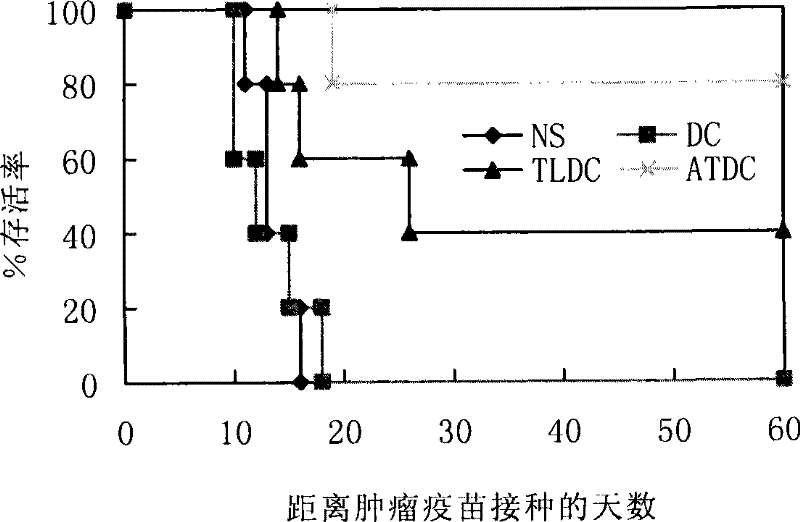 Preparation method and application of tumor tissue complete antigen