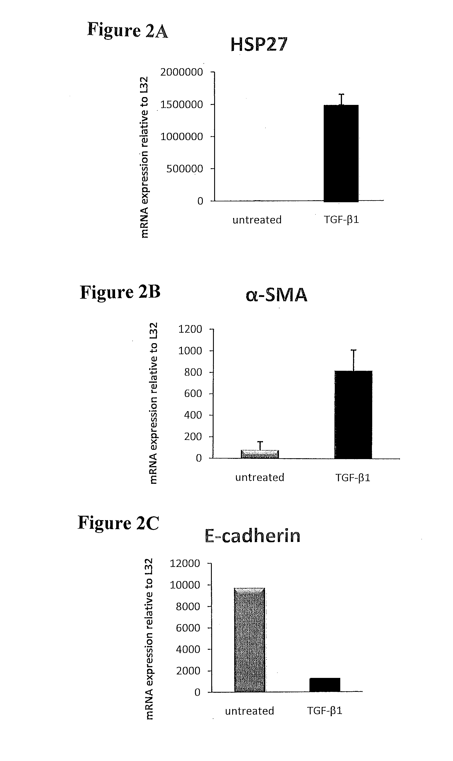 Treatment of Pulmonary and Pleural Fibrosis Using HSP27 Inhibitors