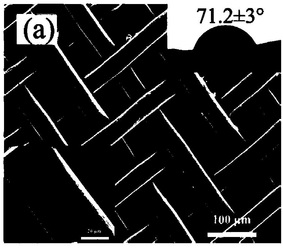 Super hydrophobic/super lipophilic filter cloth and preparation method thereof and application thereof in oil-water separation