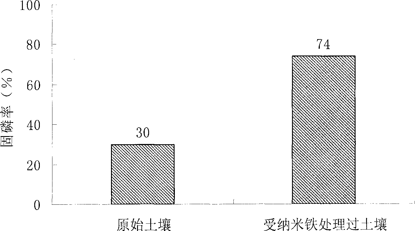 Method for high-efficiently and conveniently treating non-point source pollution using ferric oxide nano material