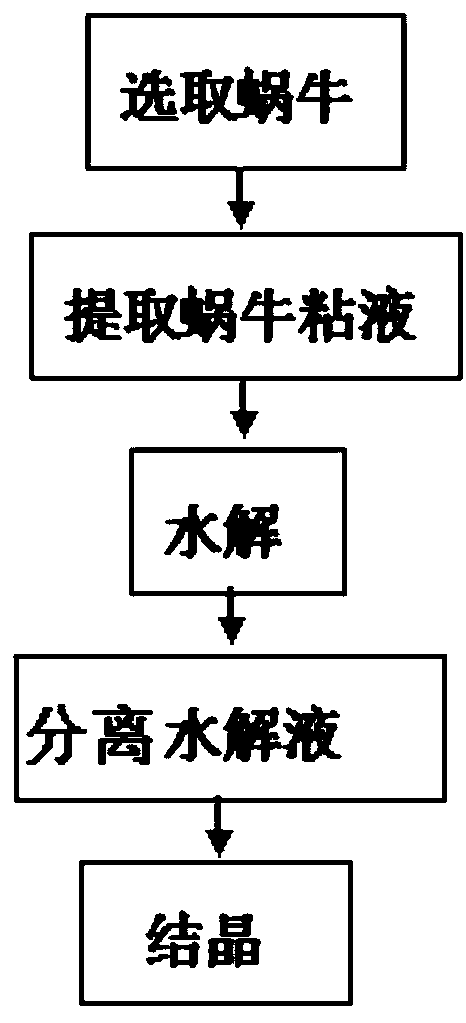 A method for extracting snail mucus extract with active enzyme