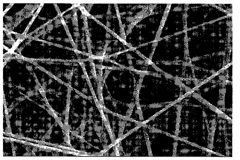 Functionalized nano-fiber heavy metal ion adsorbing material and preparation method thereof