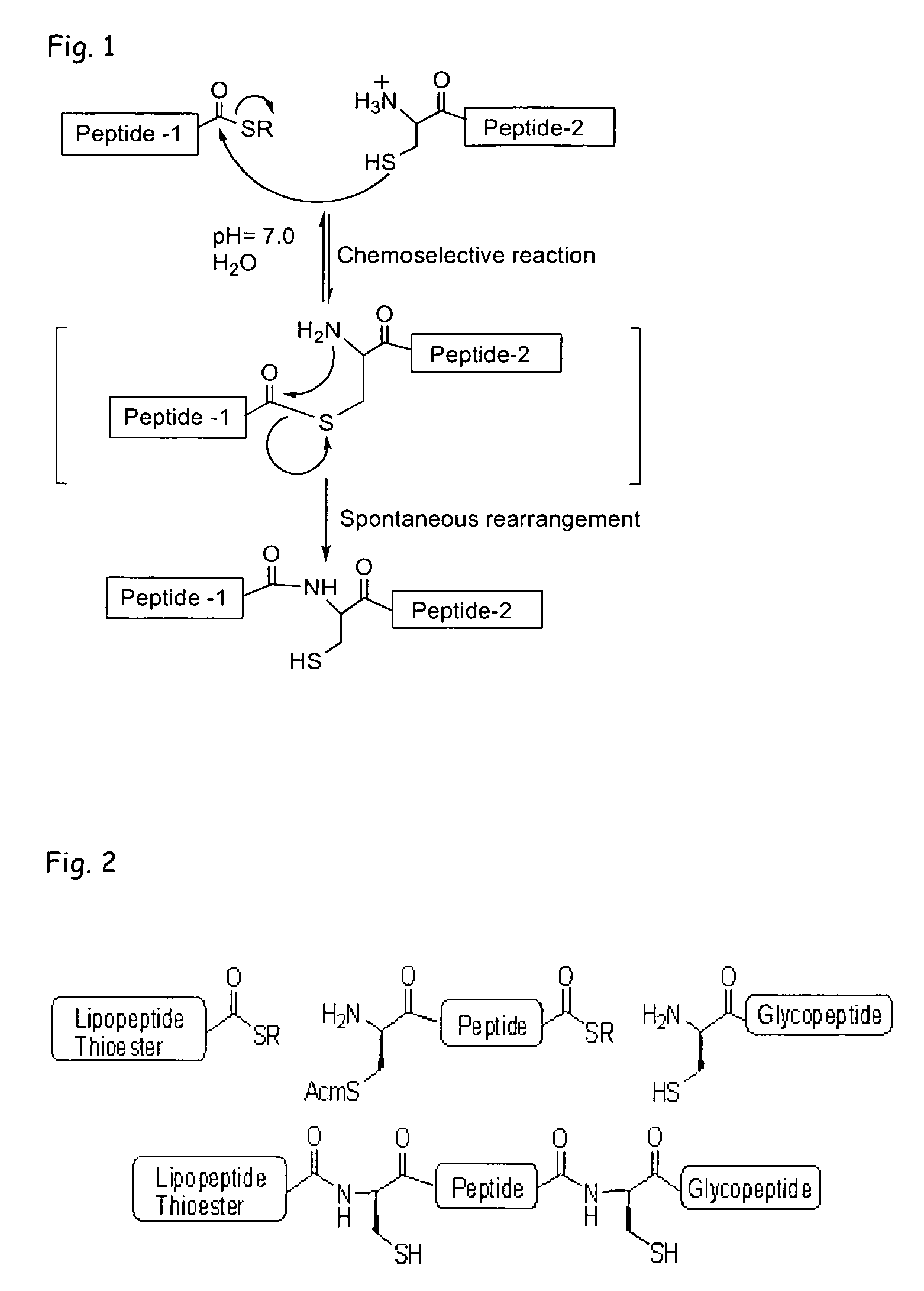 Liposome-mediated ligation