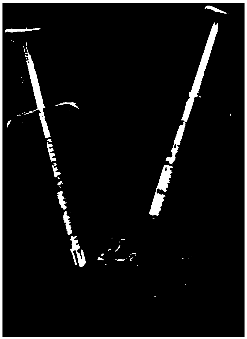 Pre-mixed strontium silicate-based biological hydraulic cementing paste composition as well as preparation method and application thereof