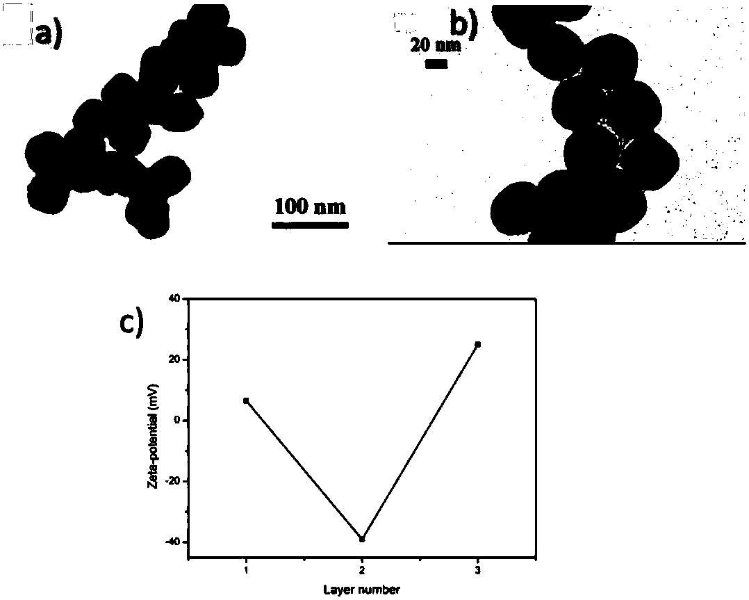 Fluorescence detection agent for p53 protein, and preparation method and application thereof